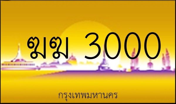 ฆฆ 3000